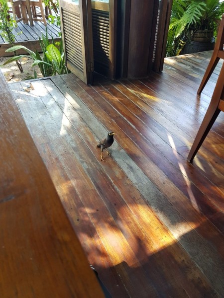 Thailand / Koh Samui 2017