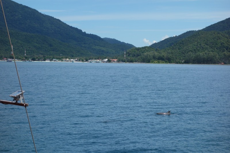 Thailand / Koh Samui 2017
