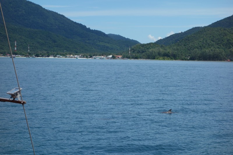 Thailand / Koh Samui 2017