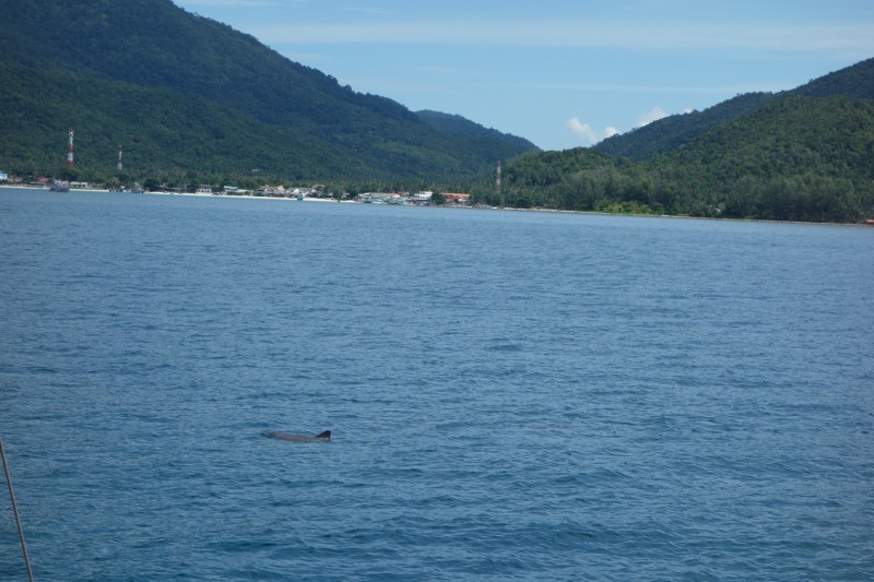 Thailand / Koh Samui 2017