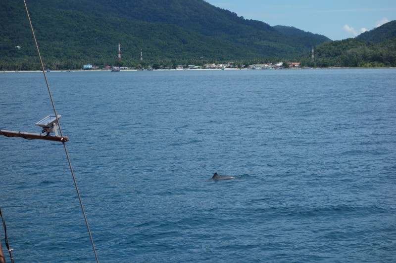 Thailand / Koh Samui 2017