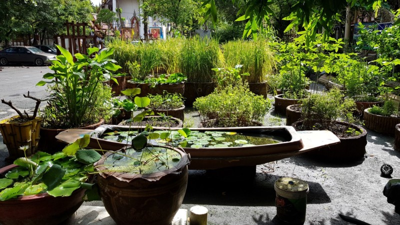 Thailand / Koh Samui 2017