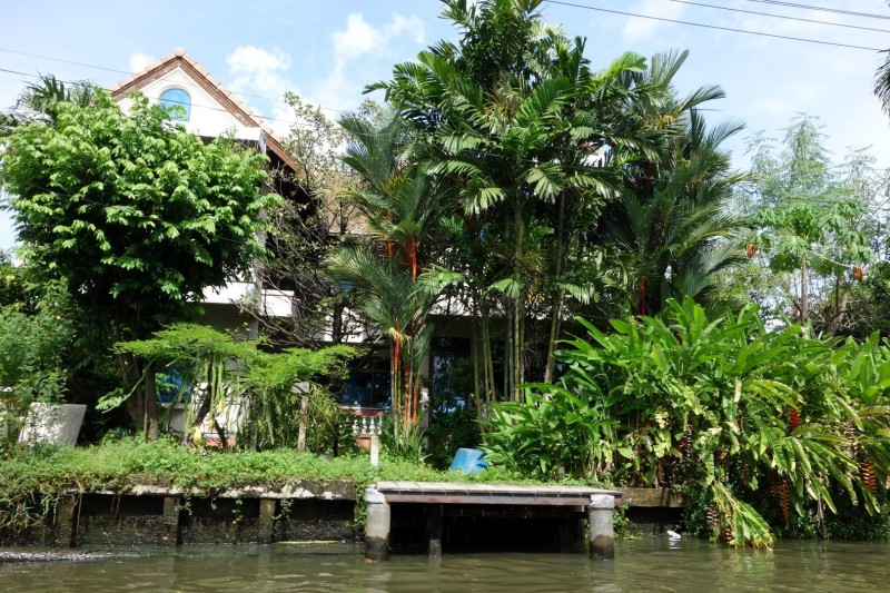 Thailand / Koh Samui 2017