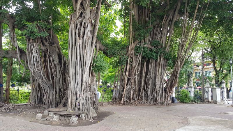 Urlaub Vietnam 2018 - Ankunft Bangkok