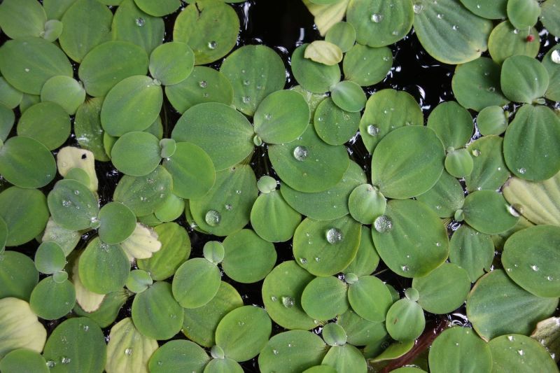 Urlaub Vietnam 2018 - Ankunft Bangkok