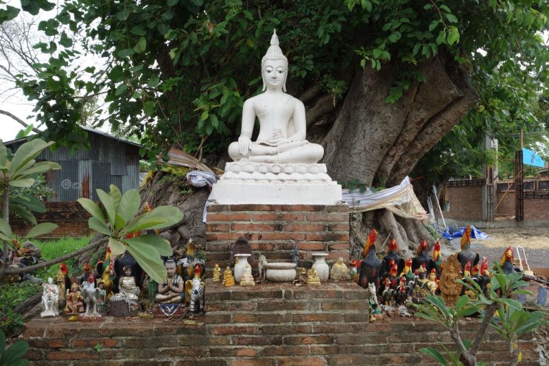 Urlaub Vietnam 2018 - Bangkok, Ayutthaya