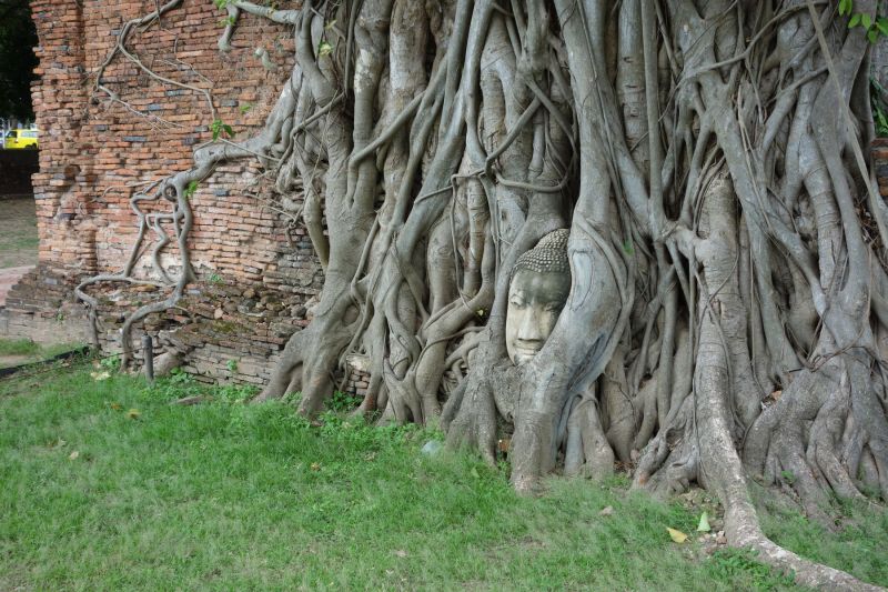 Urlaub Vietnam 2018 - Bangkok, Ayutthaya