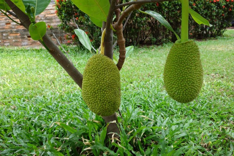 Urlaub Vietnam 2018 - Bangkok, Ayutthaya