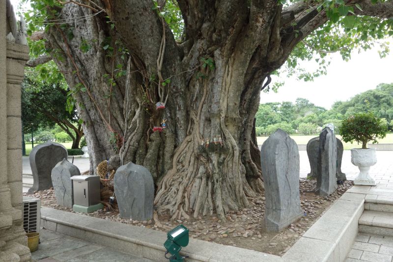 Urlaub Vietnam 2018 - Bangkok, Ayutthaya Sommerpalast