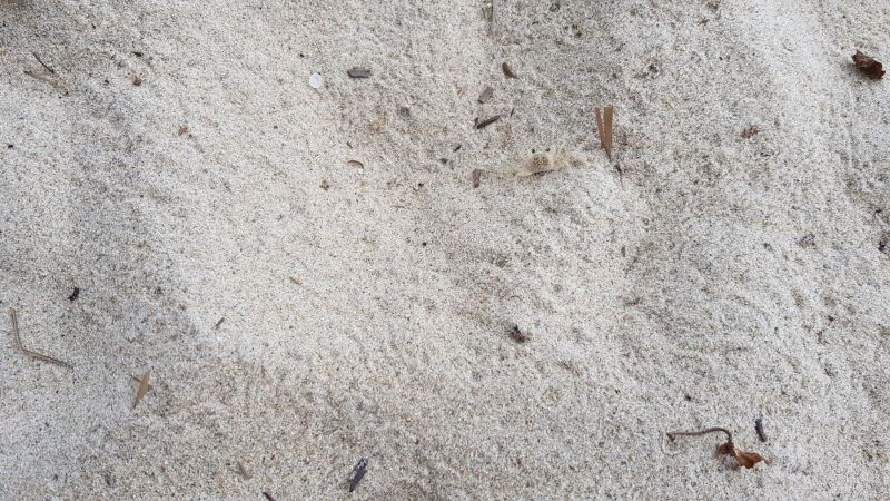 Urlaub Vietnam 2018 - Da Nang