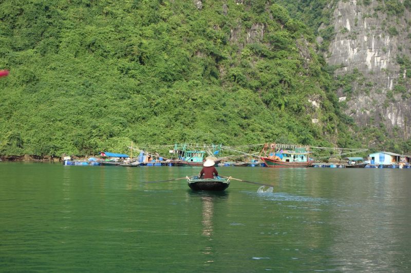 Urlaub Vietnam 2018 - Halong Bucht Kreuzfahrt