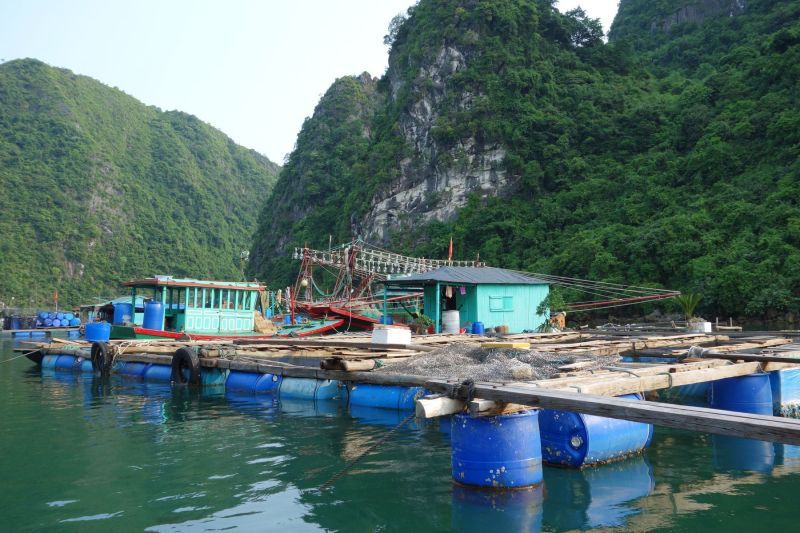Urlaub Vietnam 2018 - Halong Bucht Kreuzfahrt