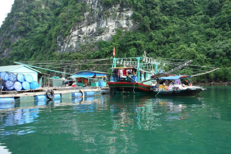 Urlaub Vietnam 2018 - Halong Bucht Kreuzfahrt
