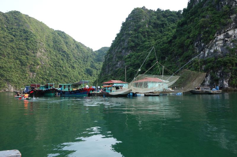 Urlaub Vietnam 2018 - Halong Bucht Kreuzfahrt