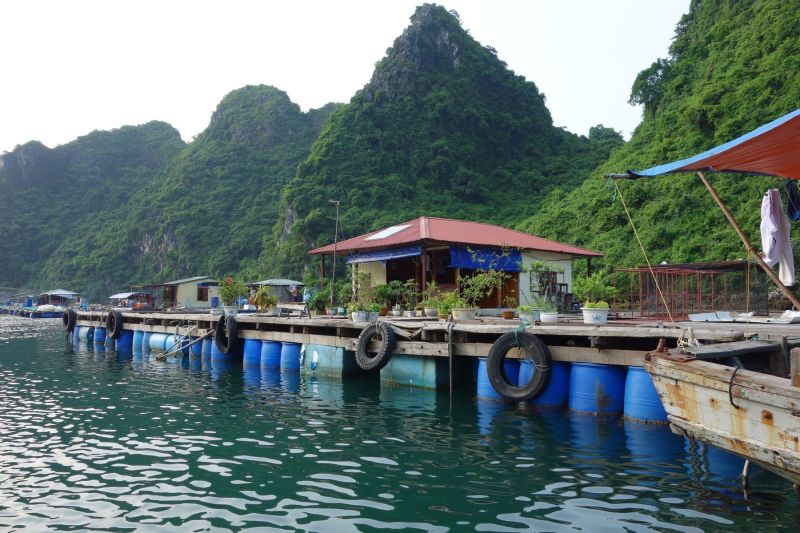 Urlaub Vietnam 2018 - Halong Bucht Kreuzfahrt