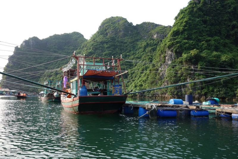 Urlaub Vietnam 2018 - Halong Bucht Kreuzfahrt