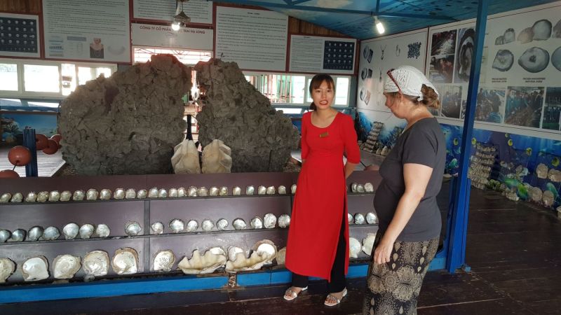 Urlaub Vietnam 2018 - Halong Bucht Kreuzfahrt