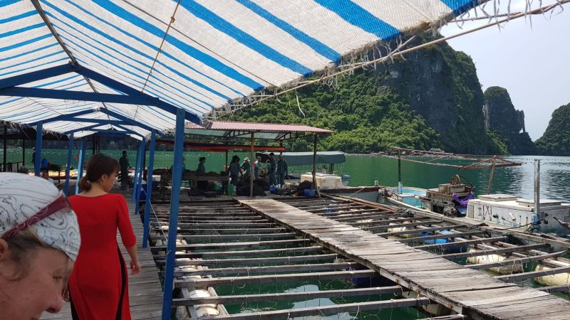 Urlaub Vietnam 2018 - Halong Bucht Kreuzfahrt