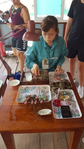 Urlaub Vietnam 2018 - Halong Bucht Kreuzfahrt