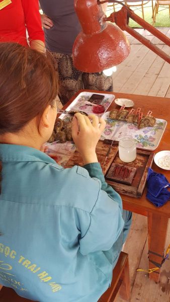 Urlaub Vietnam 2018 - Halong Bucht Kreuzfahrt