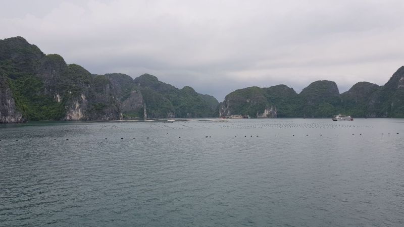 Urlaub Vietnam 2018 - Halong Bucht Kreuzfahrt