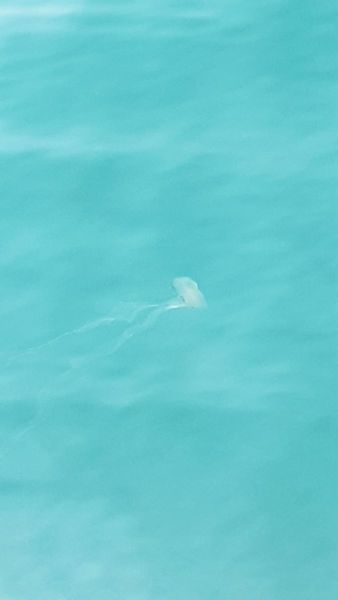 Urlaub Vietnam 2018 - Halong Bucht Kreuzfahrt