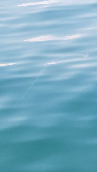 Urlaub Vietnam 2018 - Halong Bucht Kreuzfahrt