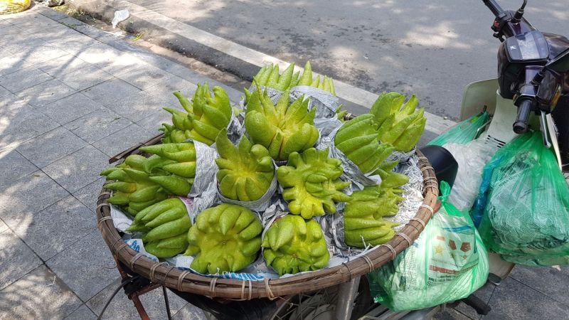 Urlaub Vietnam 2018 - Hanoi