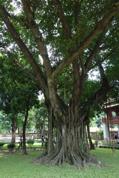 Urlaub Vietnam 2018 - Hanoi