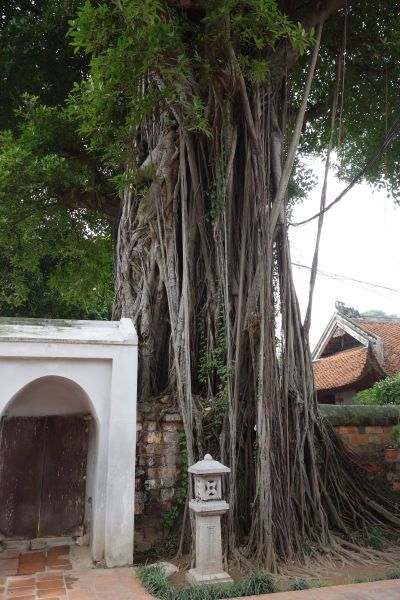 Urlaub Vietnam 2018 - Hanoi