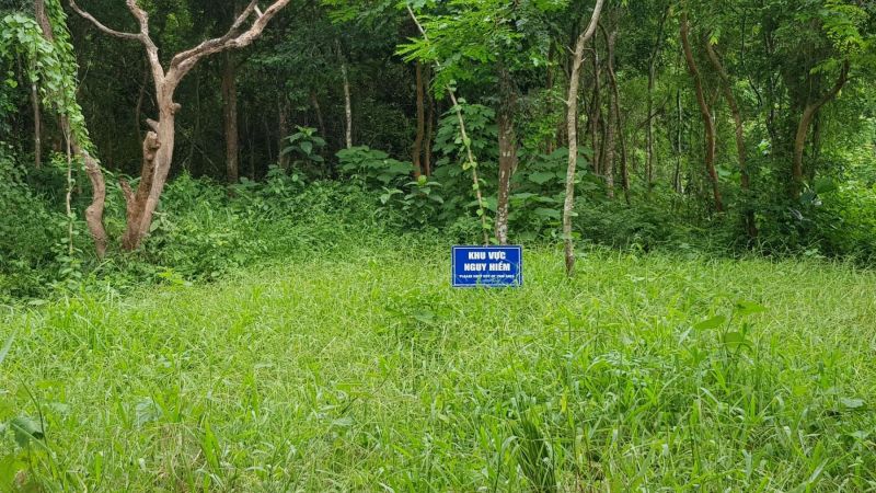 Urlaub Vietnam 2018 - My Son