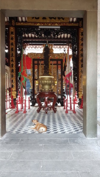 Urlaub Vietnam 2018 - Ho-Chi-Minh-Stadt / Saigon Chinatown