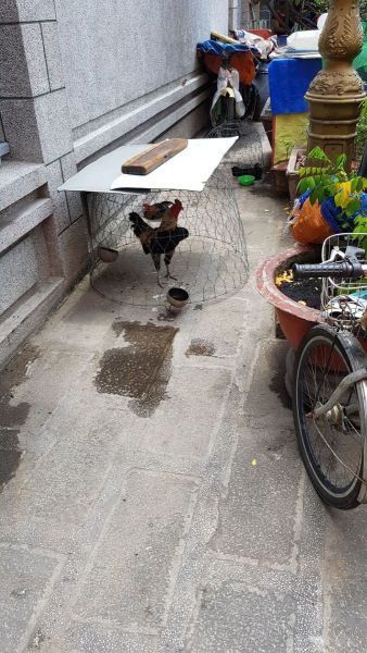 Urlaub Vietnam 2018 - Ho-Chi-Minh-Stadt / Saigon Chinatown