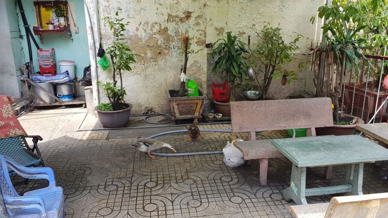 Urlaub Vietnam 2018 - Ho-Chi-Minh-Stadt / Saigon Chinatown