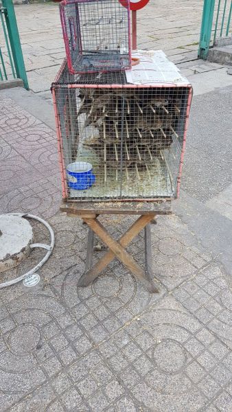 Urlaub Vietnam 2018 - Ho-Chi-Minh-Stadt / Saigon Chinatown
