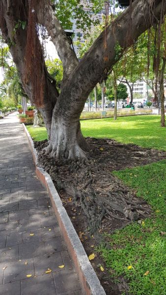 Urlaub Vietnam 2018 - Ho-Chi-Minh-Stadt / Saigon