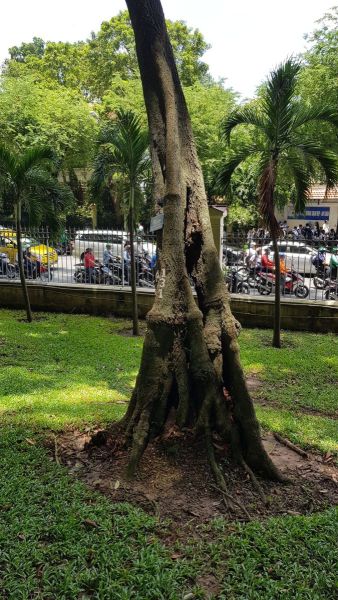 Urlaub Vietnam 2018 - Ho-Chi-Minh-Stadt / Saigon Wiedervereinigungspalast