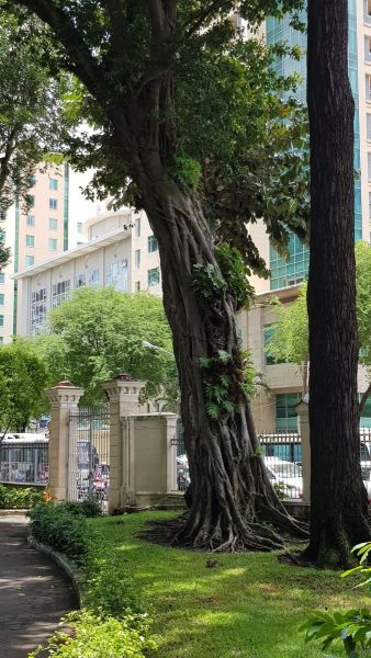 Urlaub Vietnam 2018 - Ho-Chi-Minh-Stadt / Saigon Wiedervereinigungspalast