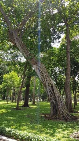 Urlaub Vietnam 2018 - Ho-Chi-Minh-Stadt / Saigon Wiedervereinigungspalast