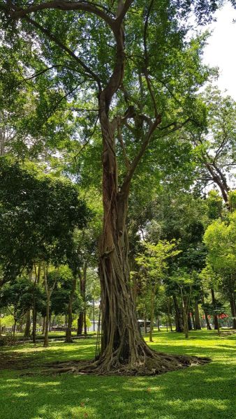 Urlaub Vietnam 2018 - Ho-Chi-Minh-Stadt / Saigon Chinatown