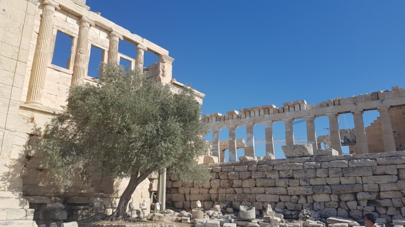 Griechenland 2019 - Athen