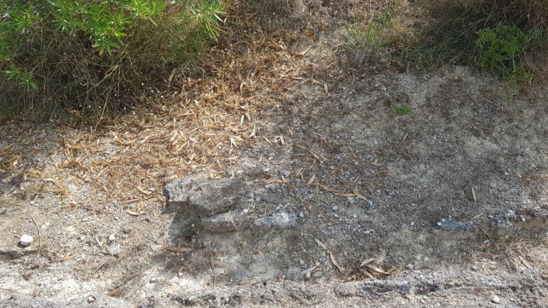 Griechenland 2019 - Ancient Nemea