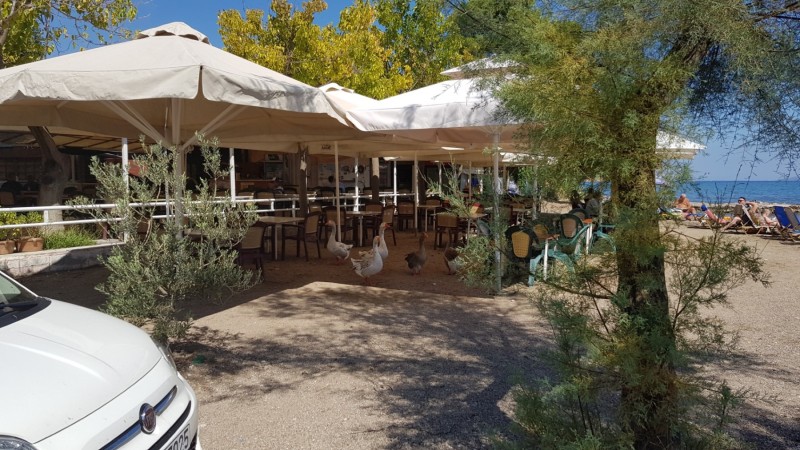 Griechenland 2019 - Epidauros Sunken City