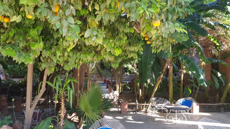 Taroudannt (Marokko)