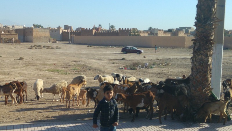 Taroudannt (Marokko)