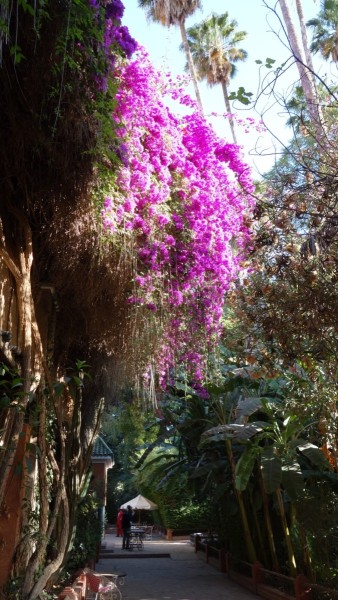 Taroudannt (Marokko)