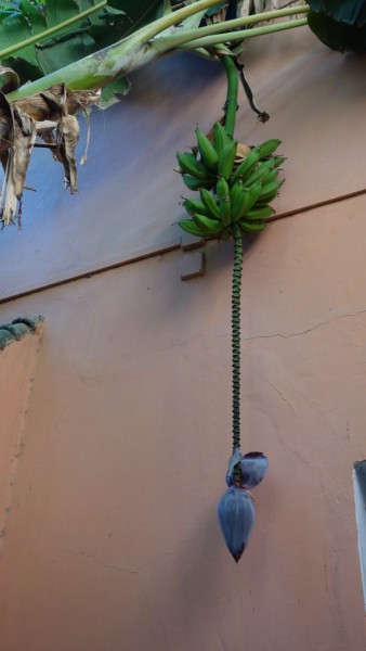 Taroudannt (Marokko)