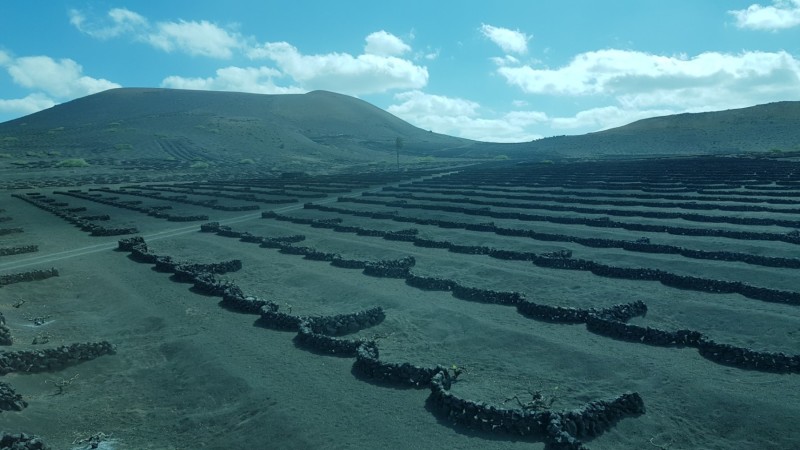 Kanaren-Kreuzfahrt Tag 4 - Lanzarote