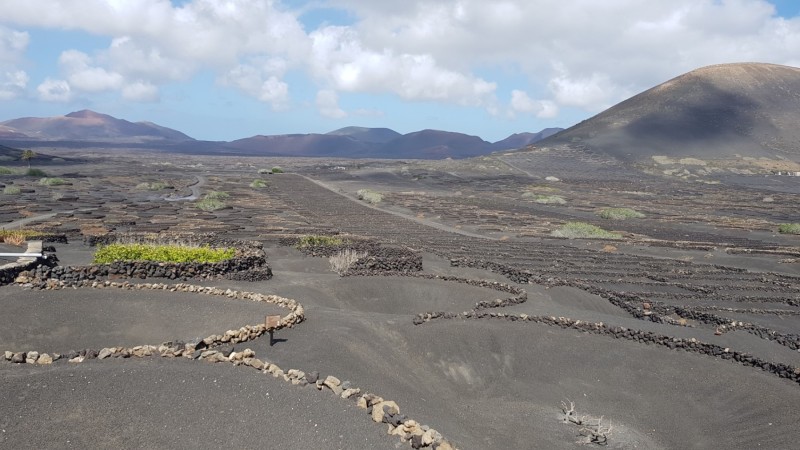 Kanaren-Kreuzfahrt Tag 4 - Lanzarote