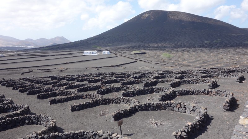 Kanaren-Kreuzfahrt Tag 4 - Lanzarote